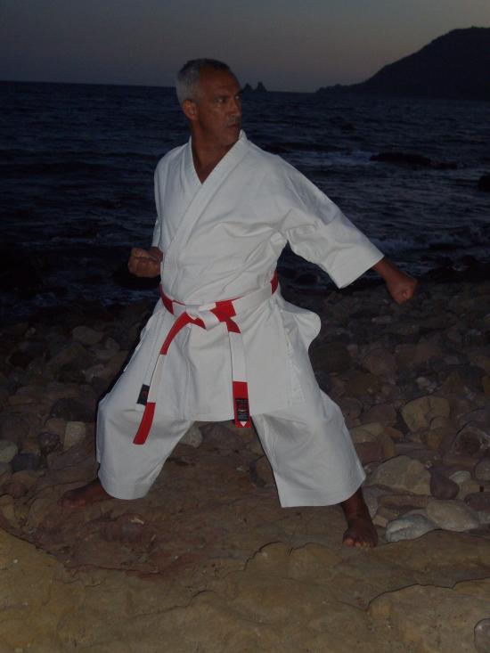 dany 2009
