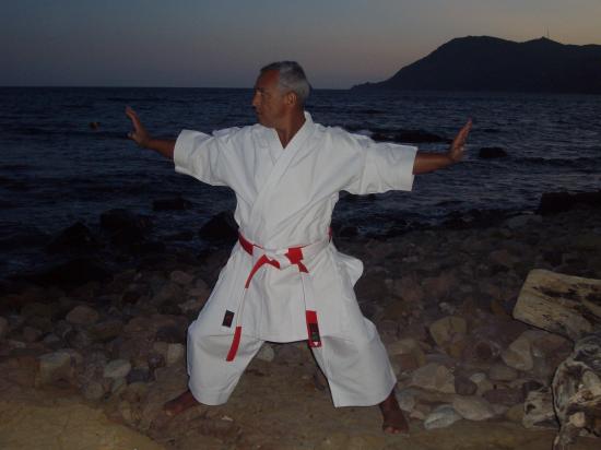 dany 2009