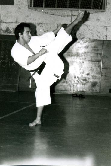 dany 1995