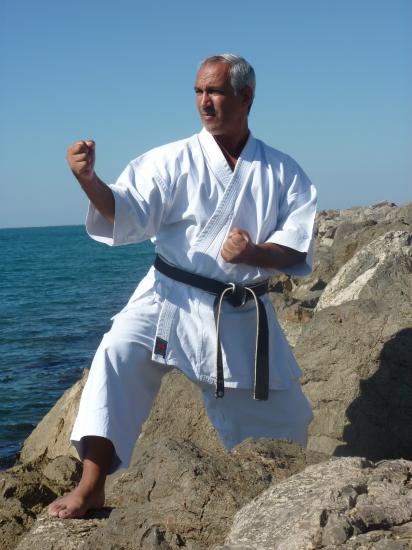 dany mer 2010